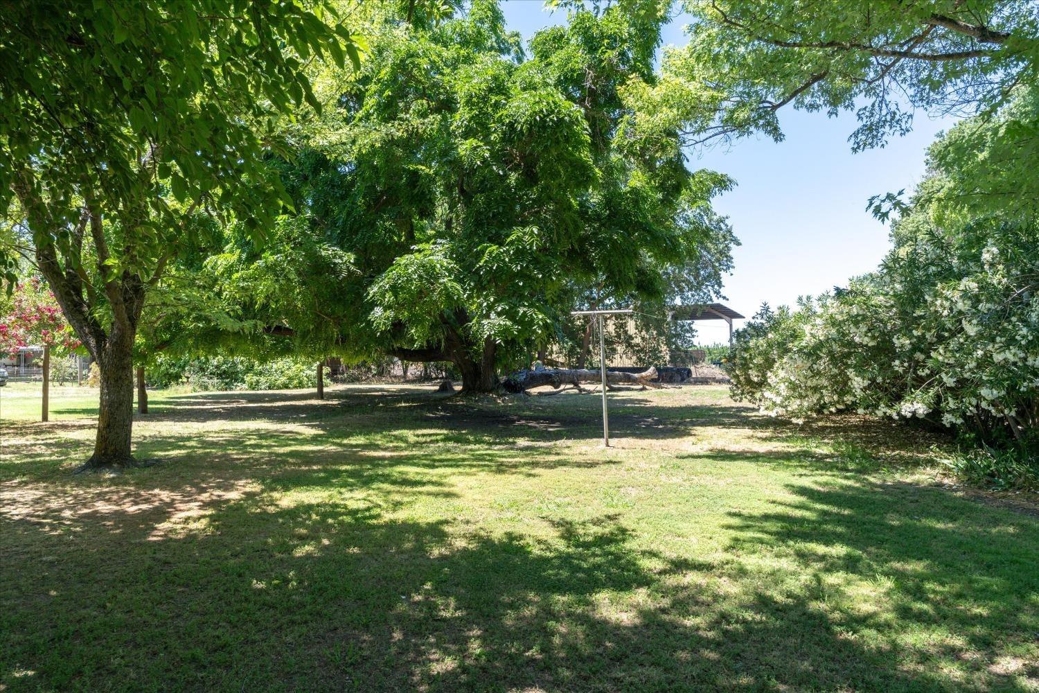 Detail Gallery Image 38 of 38 For 556 D St, Biggs,  CA 95917 - 3 Beds | 2 Baths