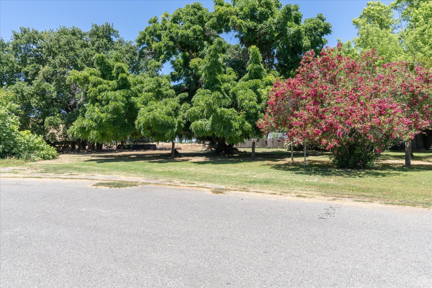 Detail Gallery Image 30 of 38 For 556 D St, Biggs,  CA 95917 - 3 Beds | 2 Baths