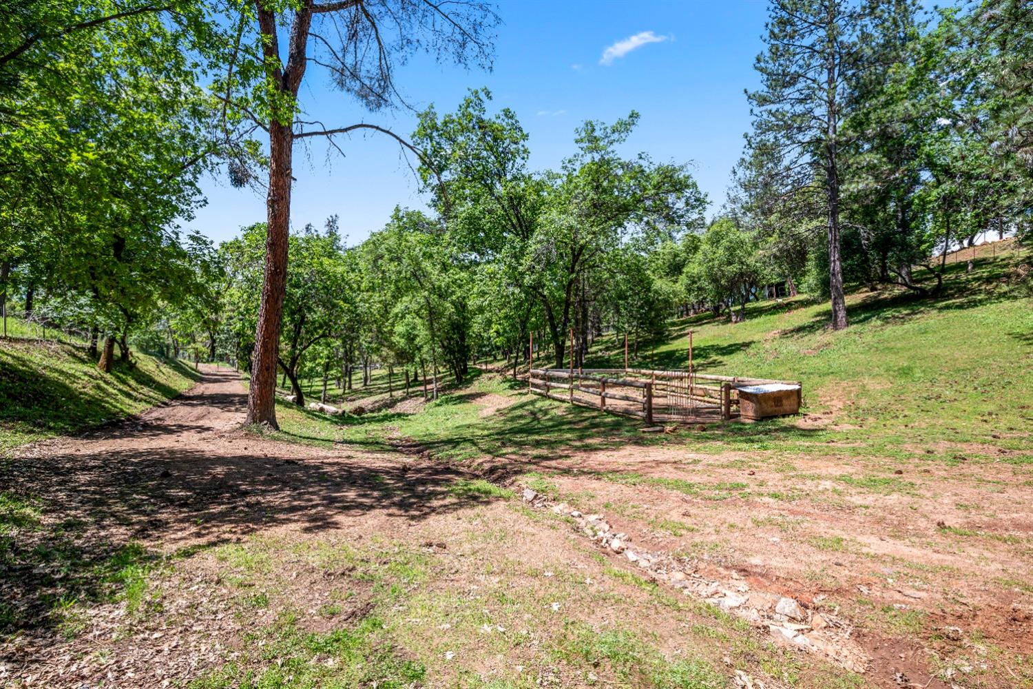 No Walk Road, Placerville, California image 49