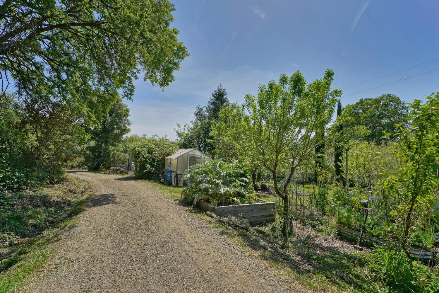 Gold Hill Road, Placerville, California image 37