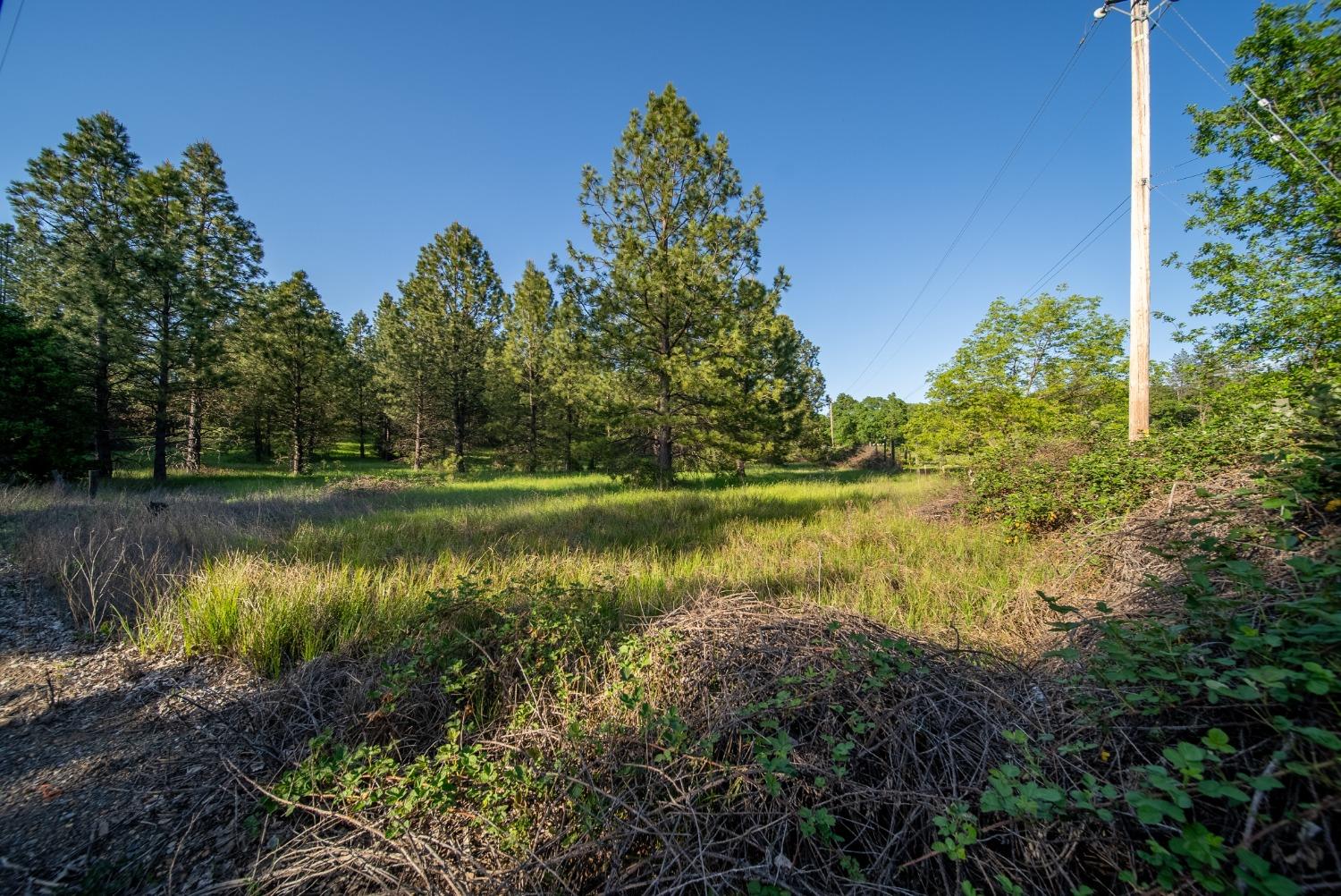 Glee Lane, Placerville, California image 4