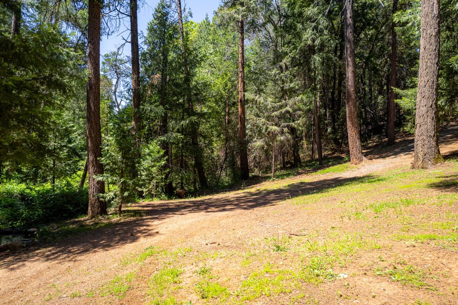 Detail Gallery Image 34 of 54 For 16199 Pioneer Creek Rd, Pioneer,  CA 95666 - 4 Beds | 2 Baths