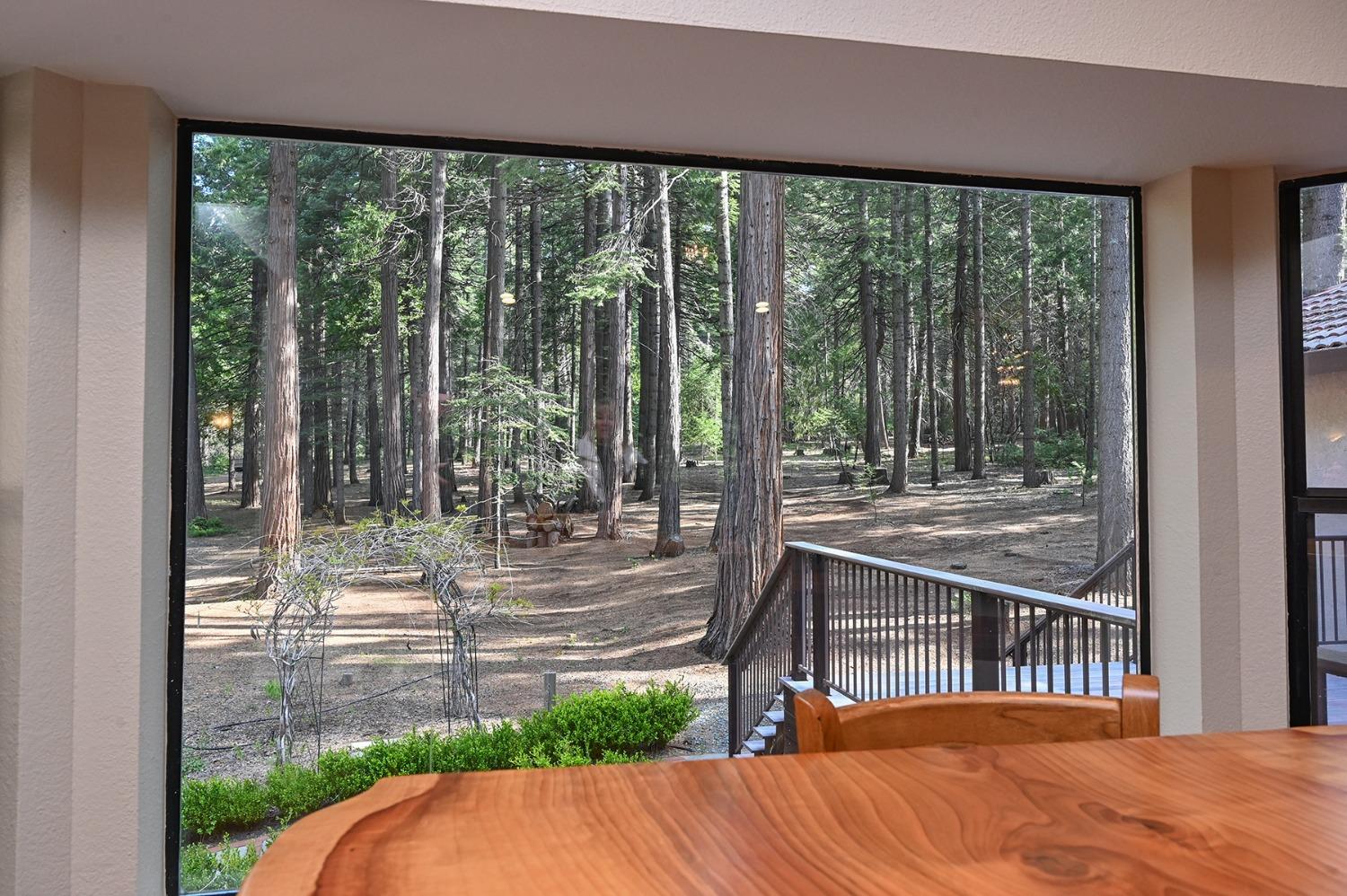 Bela Vista Drive, Pollock Pines, California image 12