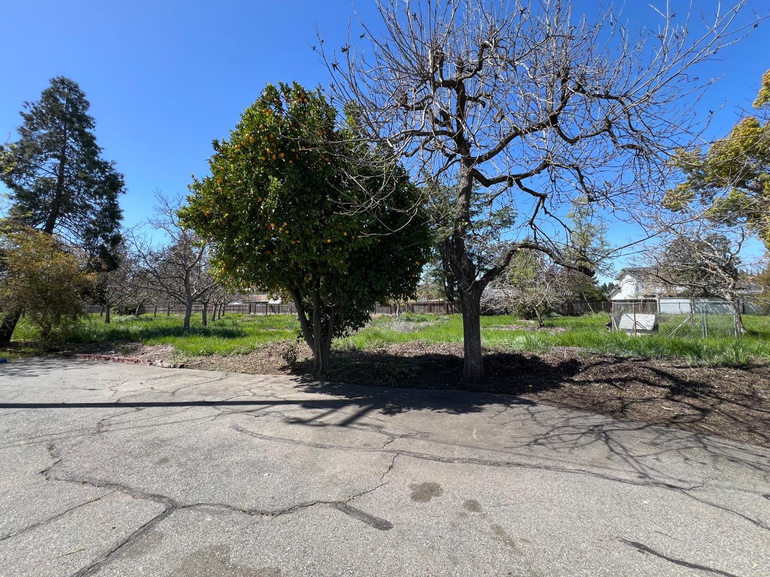 Archer Avenue, Live Oak, California image 33