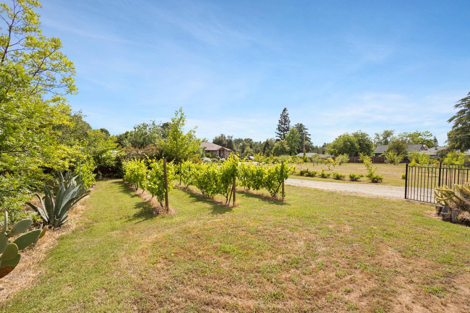 Detail Gallery Image 6 of 84 For 7964 Twin Oaks Ave, Citrus Heights,  CA 95610 - 3 Beds | 2/1 Baths