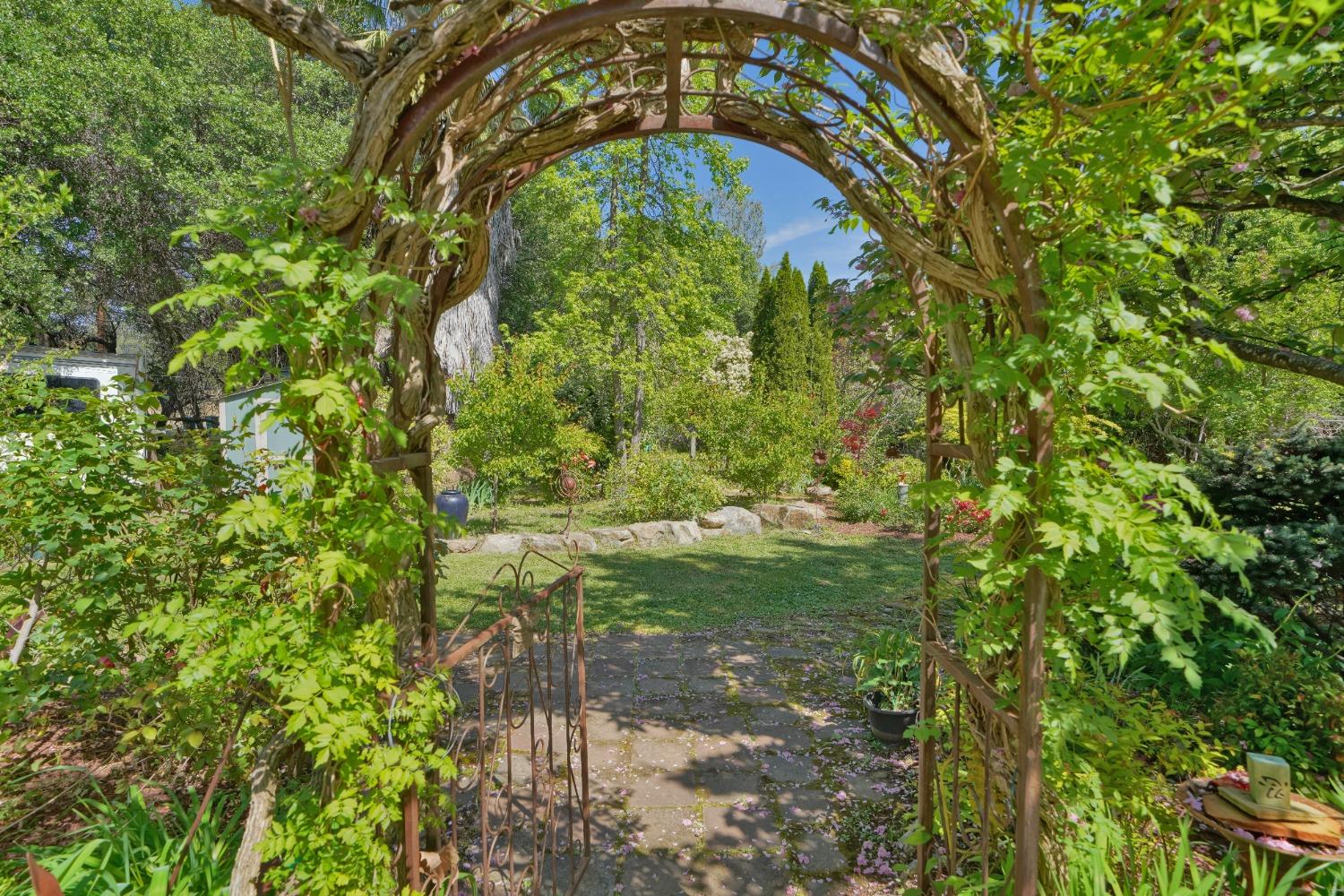 Gold Hill Road, Placerville, California image 26
