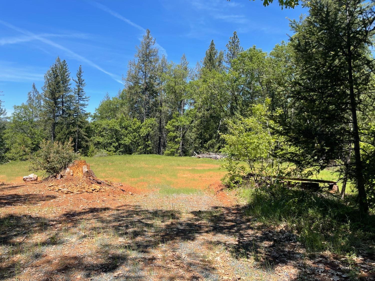 Detail Gallery Image 2 of 26 For 0 Kings Hill Rd, Colfax,  CA 95713 - – Beds | – Baths
