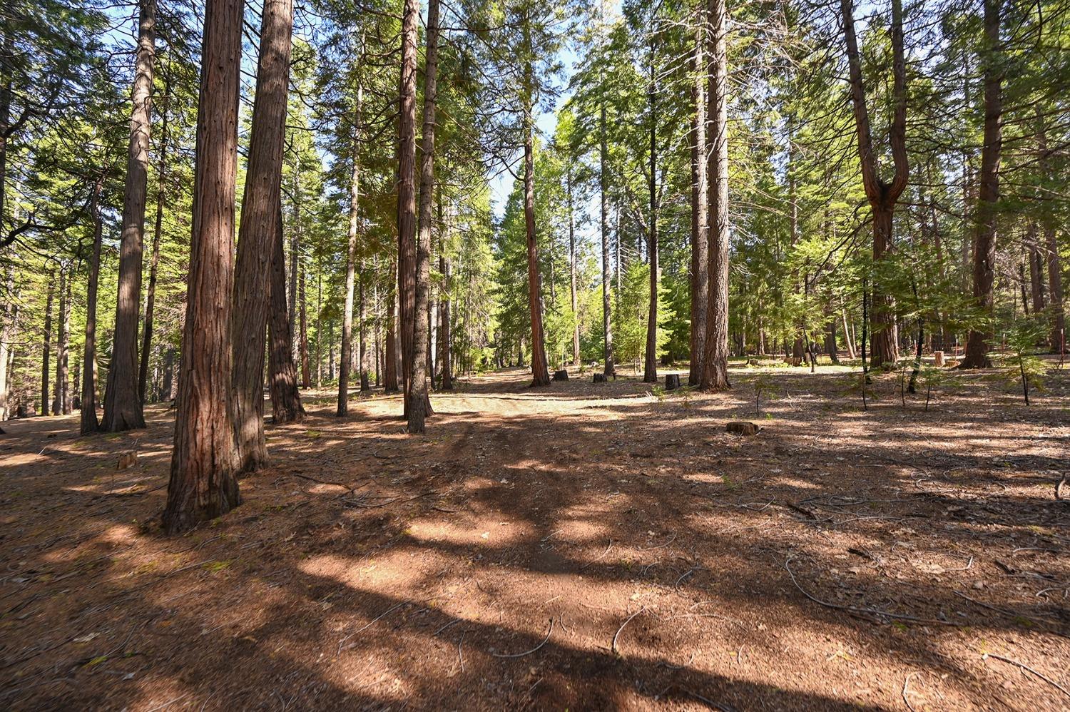 Bela Vista Drive, Pollock Pines, California image 17