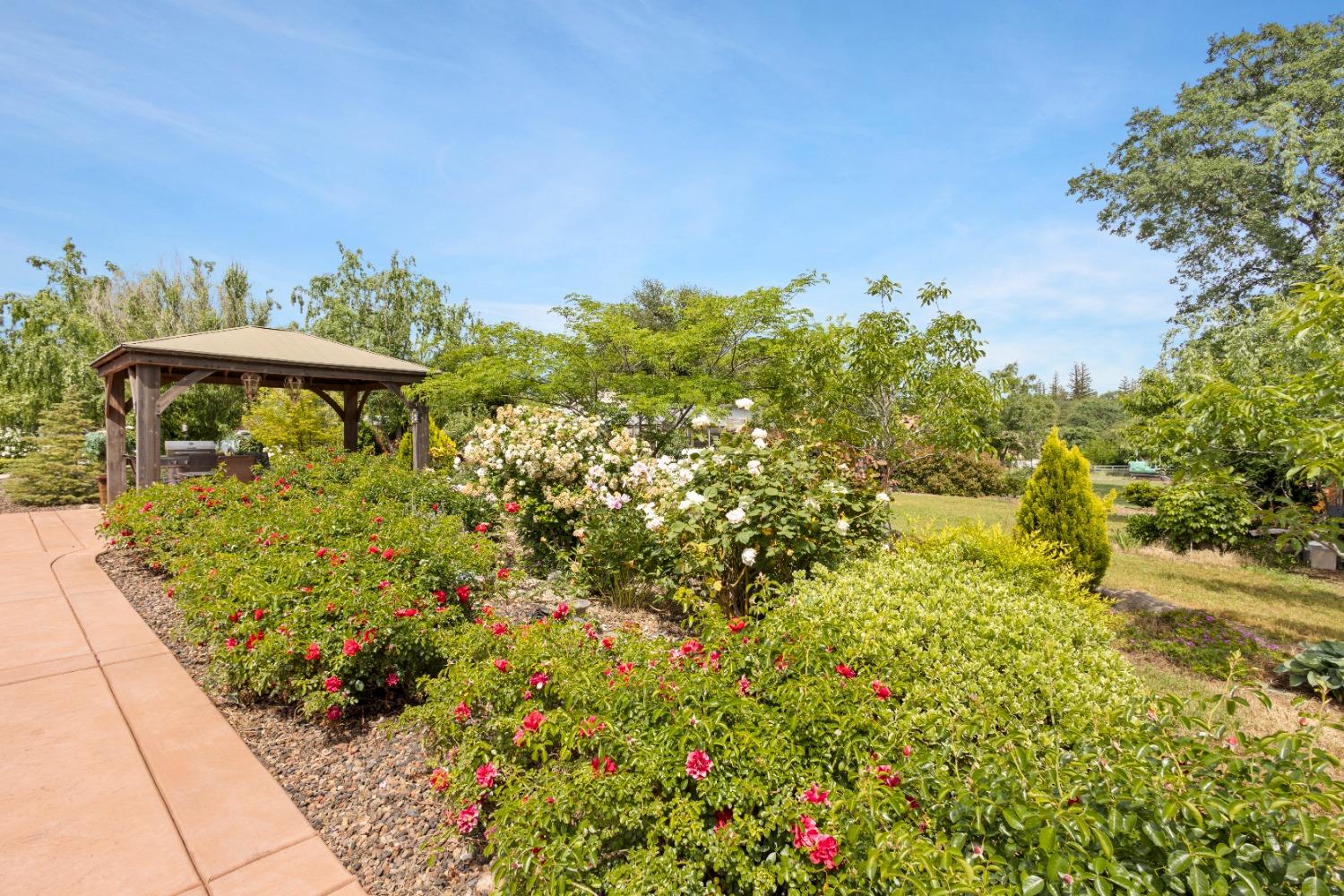Detail Gallery Image 66 of 84 For 7964 Twin Oaks Ave, Citrus Heights,  CA 95610 - 3 Beds | 2/1 Baths
