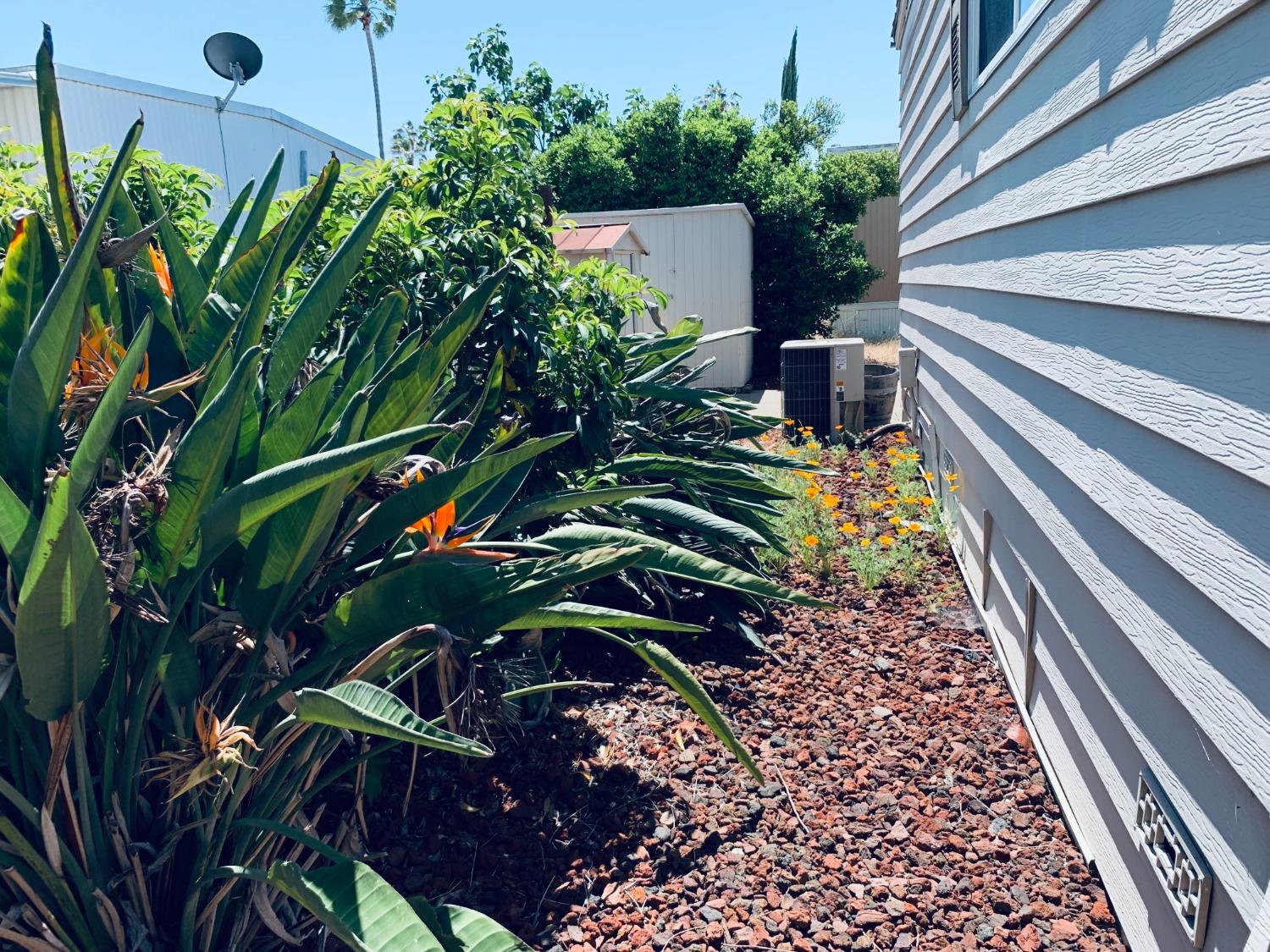 Detail Gallery Image 11 of 54 For 8181 Folsom Blvd 30, Sacramento,  CA 95826 - 2 Beds | 2 Baths
