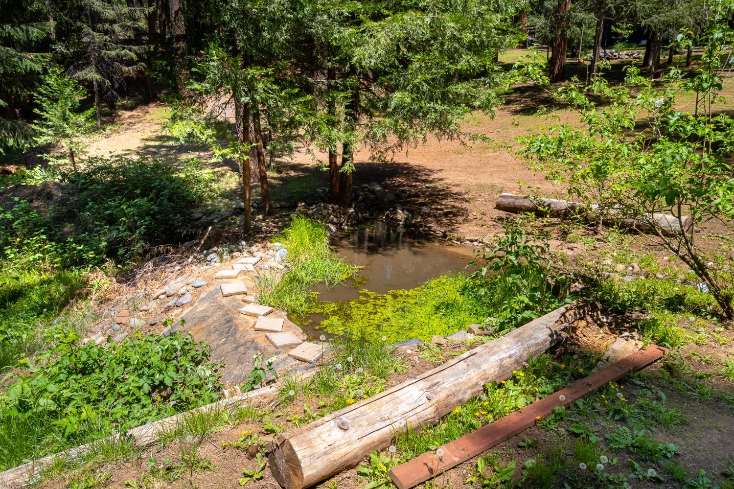 Detail Gallery Image 35 of 54 For 16199 Pioneer Creek Rd, Pioneer,  CA 95666 - 4 Beds | 2 Baths