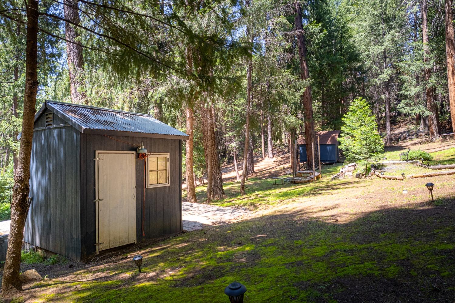 Detail Gallery Image 8 of 54 For 16199 Pioneer Creek Rd, Pioneer,  CA 95666 - 4 Beds | 2 Baths