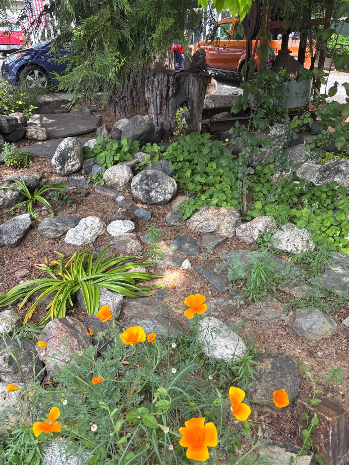 Detail Gallery Image 52 of 68 For 526 Mill St, Grass Valley,  CA 95945 - – Beds | – Baths