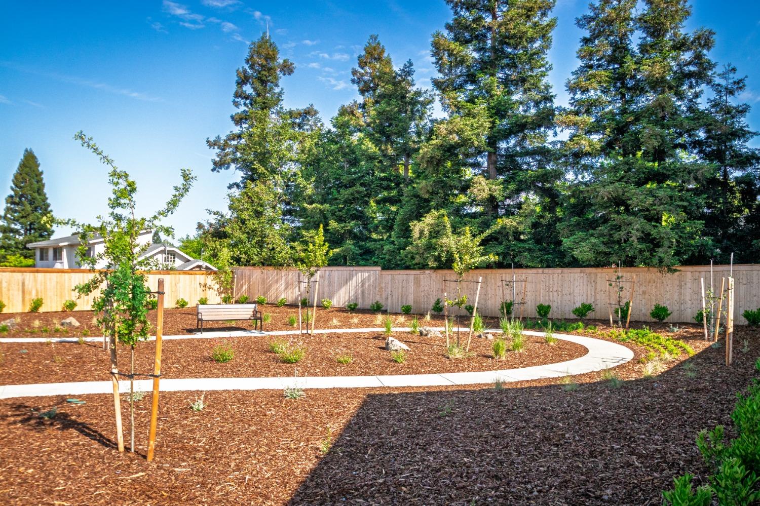 Detail Gallery Image 4 of 6 For 972 Carbahal St, Winters,  CA 95694 - 4 Beds | 3 Baths