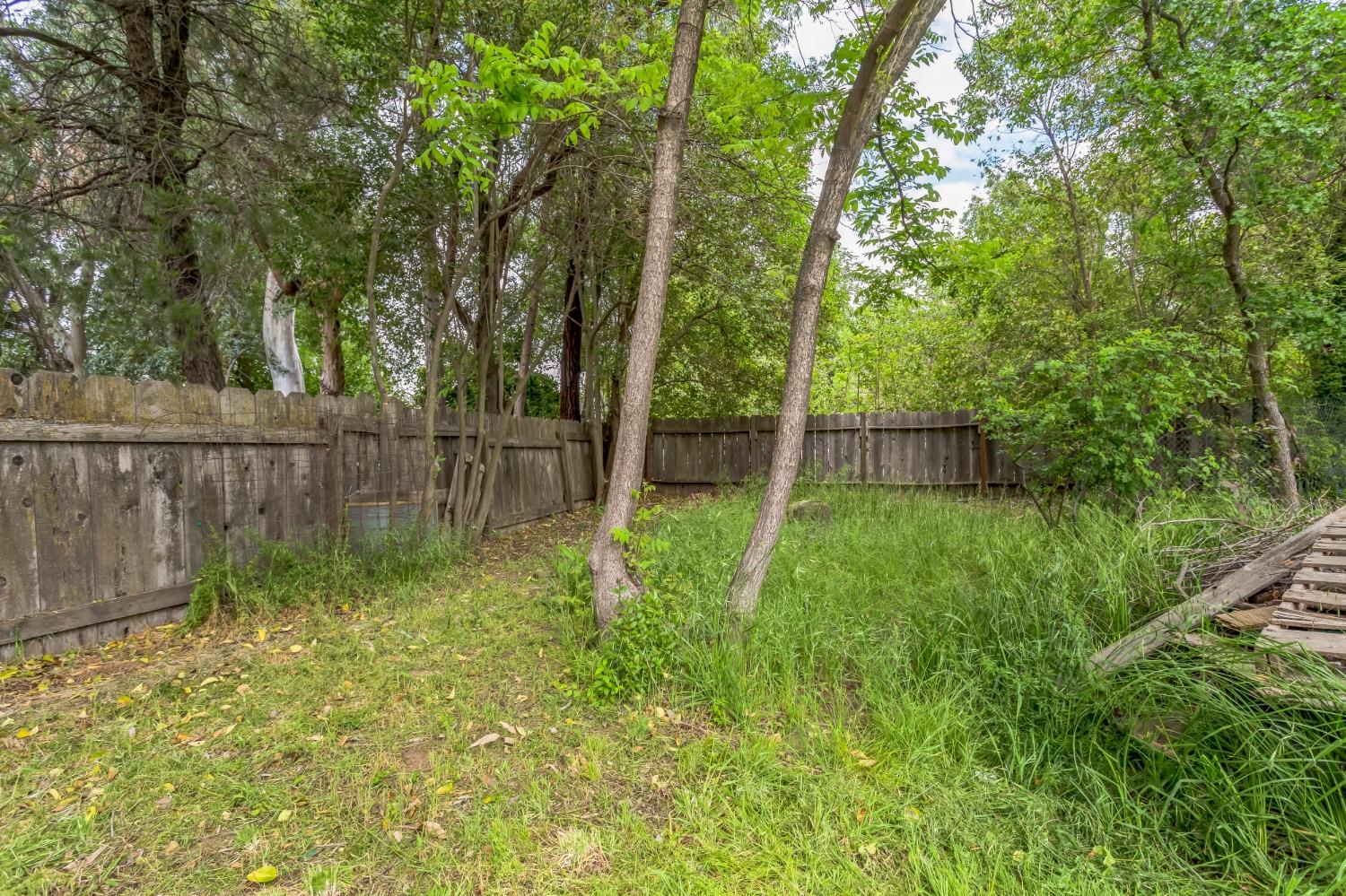 Sherwood Boulevard, Los Molinos, California image 5