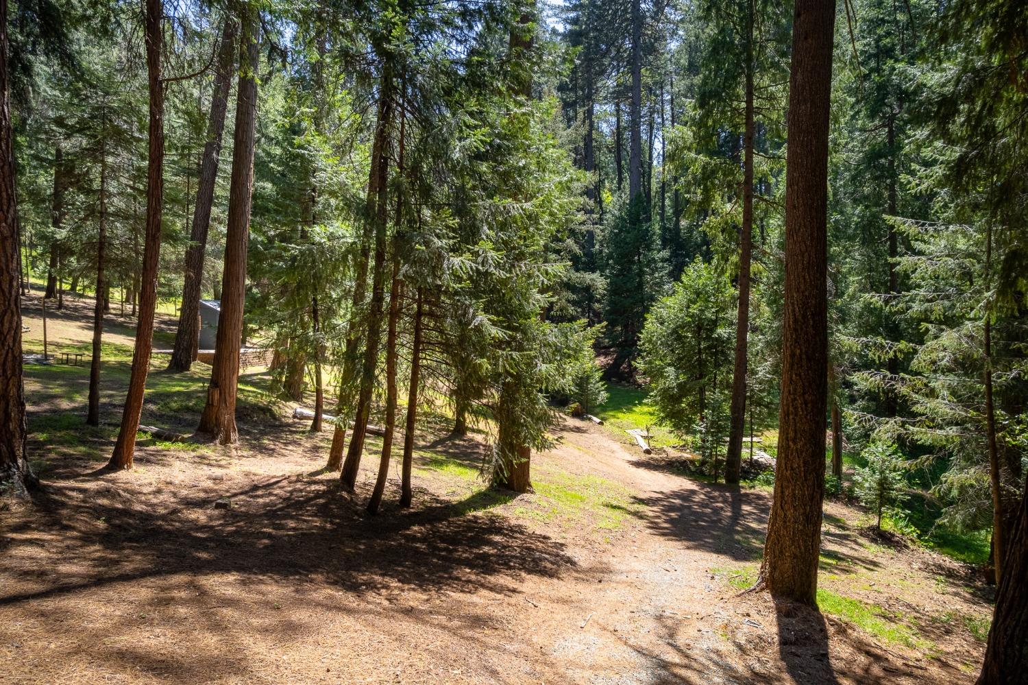 Detail Gallery Image 40 of 54 For 16199 Pioneer Creek Rd, Pioneer,  CA 95666 - 4 Beds | 2 Baths