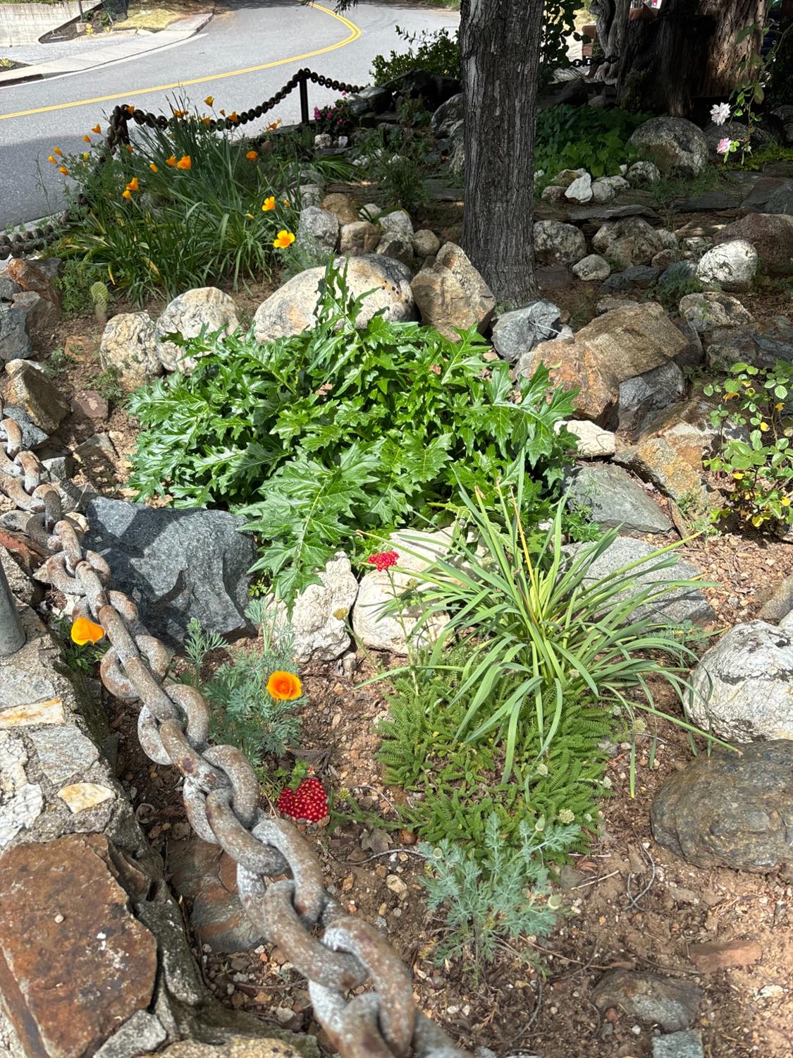 Detail Gallery Image 53 of 68 For 526 Mill St, Grass Valley,  CA 95945 - – Beds | – Baths