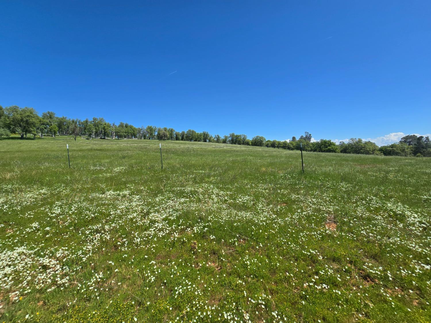Detail Gallery Image 64 of 78 For 5963 Schilling Rd, Coulterville,  CA 95311 - 3 Beds | 2/1 Baths