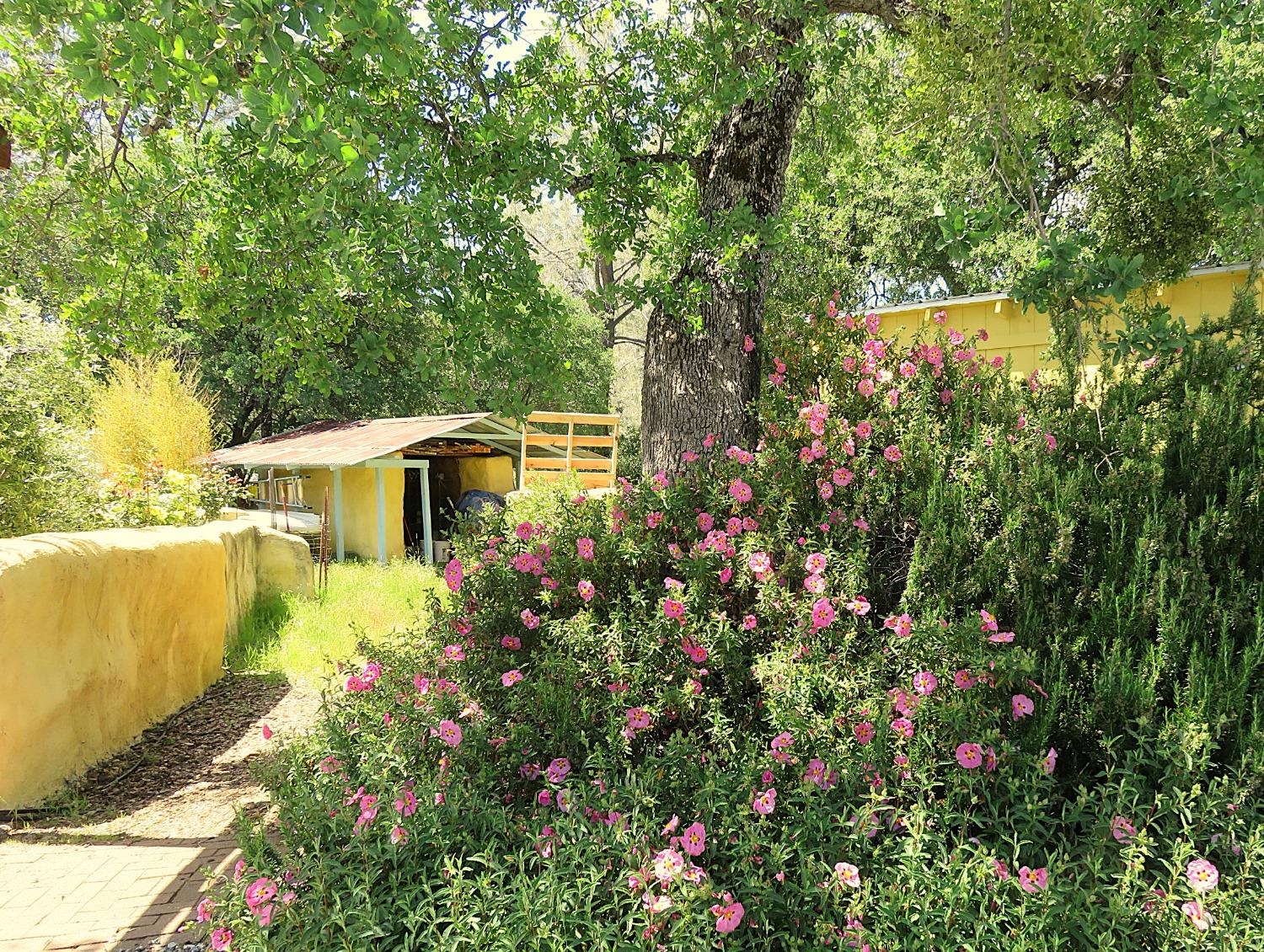 Detail Gallery Image 7 of 98 For 3528 Appaloosa Way, Angels Camp,  CA 95222 - 3 Beds | 2 Baths