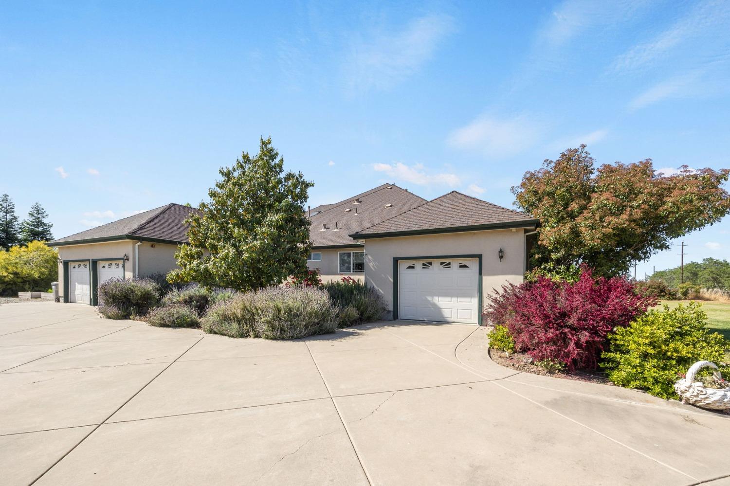 Detail Gallery Image 6 of 93 For 2888 County Road 89, Dunnigan,  CA 95937 - 3 Beds | 3 Baths