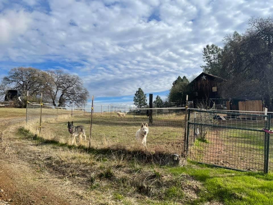 Detail Gallery Image 47 of 71 For 172 Rich Gulch Rd, Oroville,  CA 95965 - 2 Beds | 1 Baths