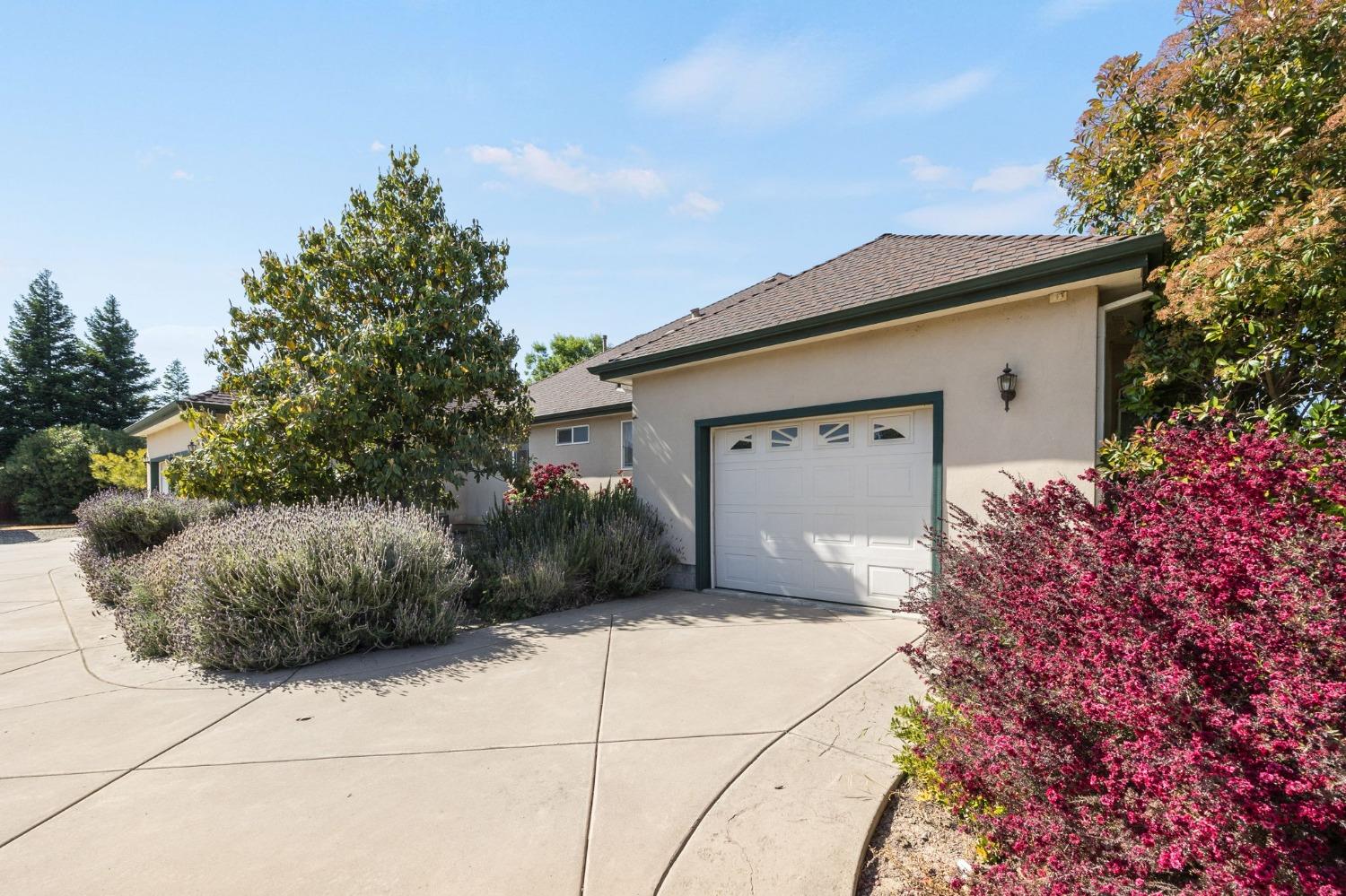 Detail Gallery Image 8 of 93 For 2888 County Road 89, Dunnigan,  CA 95937 - 3 Beds | 3 Baths