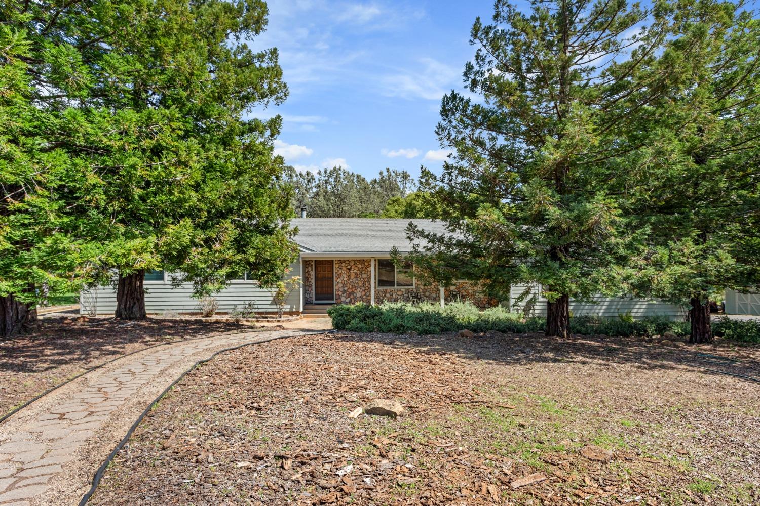Starbuck Road, Rescue, California image 8