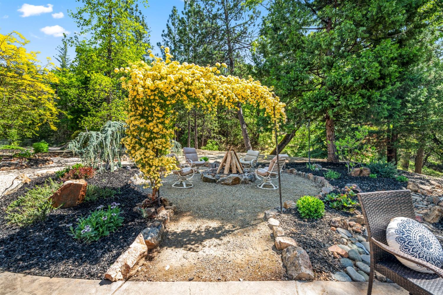 No Walk Road, Placerville, California image 29
