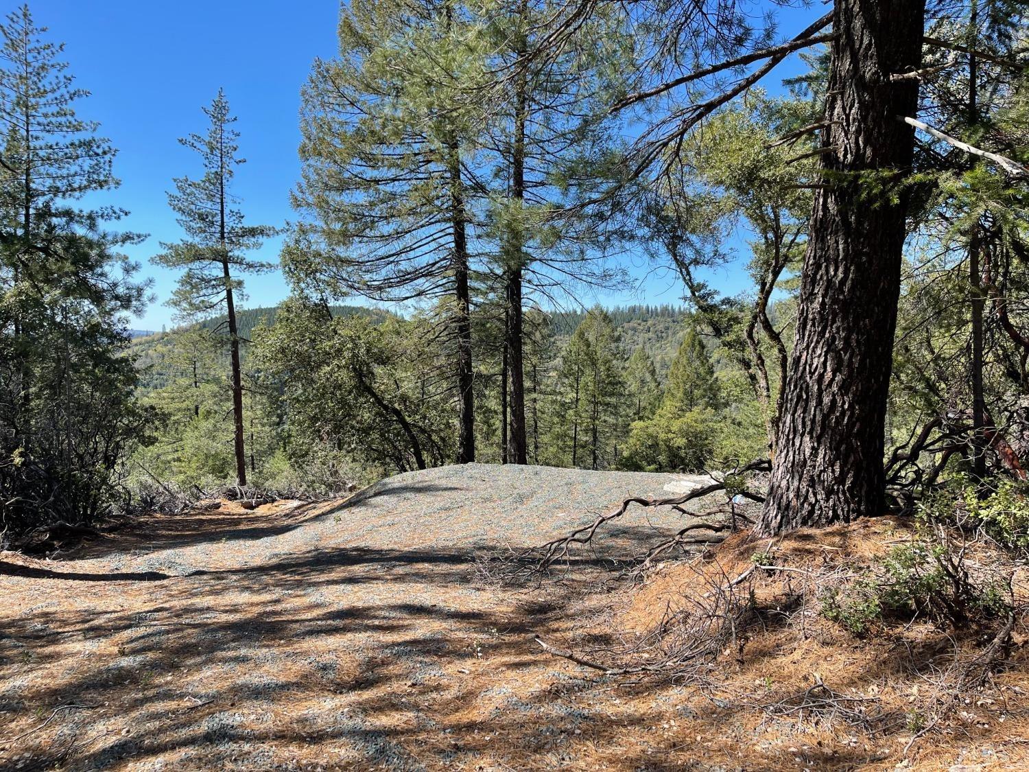 Detail Gallery Image 11 of 26 For 0 Kings Hill Rd, Colfax,  CA 95713 - – Beds | – Baths