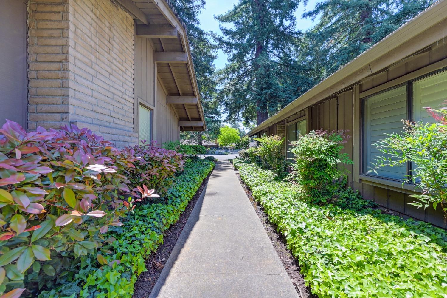 Detail Gallery Image 17 of 61 For 2473 American River Dr, Sacramento,  CA 95825 - – Beds | – Baths