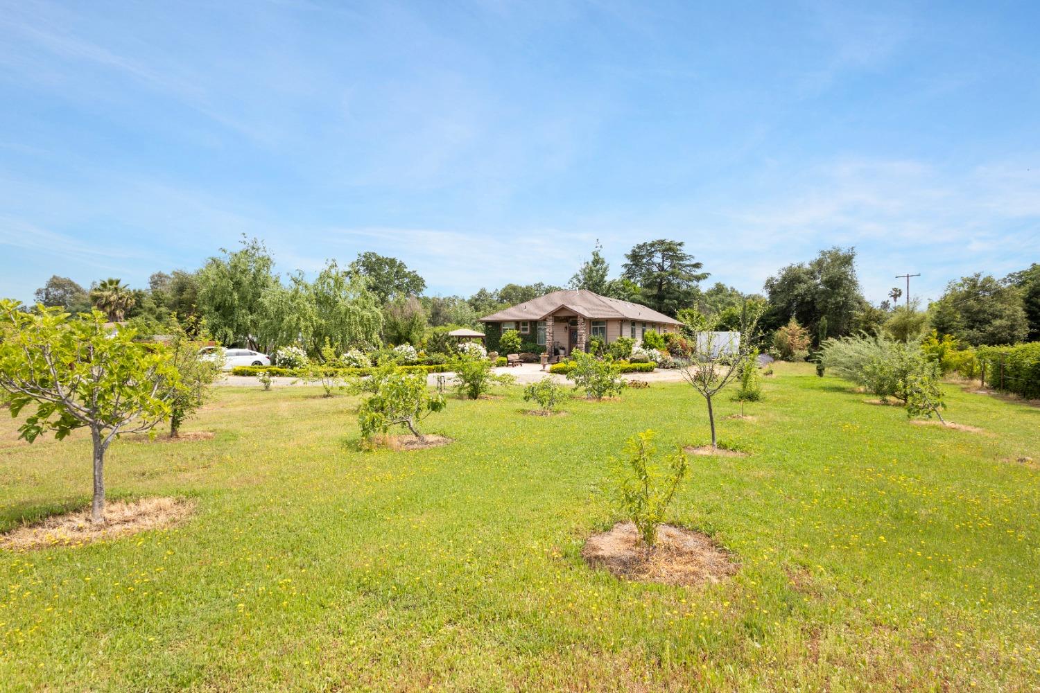 Detail Gallery Image 5 of 84 For 7964 Twin Oaks Ave, Citrus Heights,  CA 95610 - 3 Beds | 2/1 Baths
