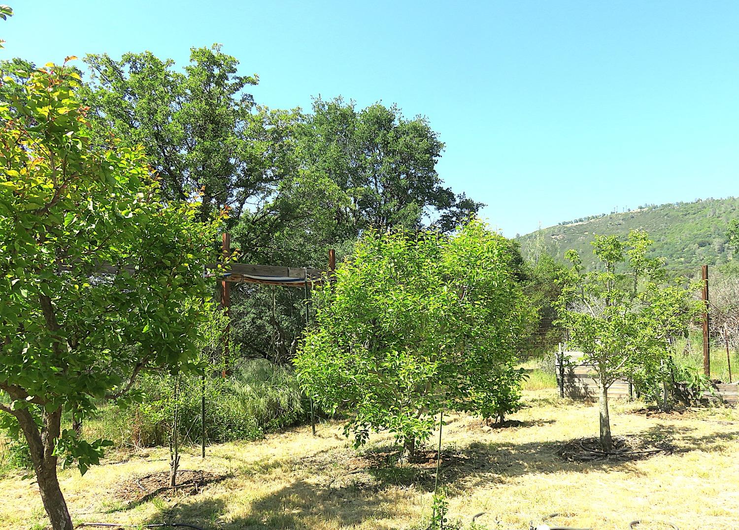Detail Gallery Image 64 of 98 For 3528 Appaloosa Way, Angels Camp,  CA 95222 - 3 Beds | 2 Baths