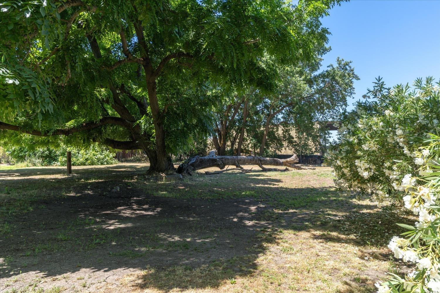 Detail Gallery Image 36 of 38 For 556 D St, Biggs,  CA 95917 - 3 Beds | 2 Baths