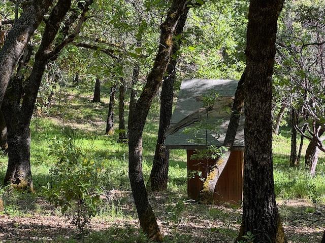 Detail Gallery Image 6 of 11 For 13452 Tyler Foote Rd, Nevada City,  CA 95959 - – Beds | – Baths