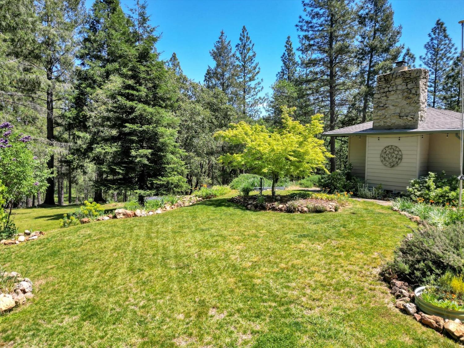Detail Gallery Image 44 of 61 For 1075 Pine Vista Ln, Meadow Vista,  CA 95722 - 3 Beds | 2 Baths