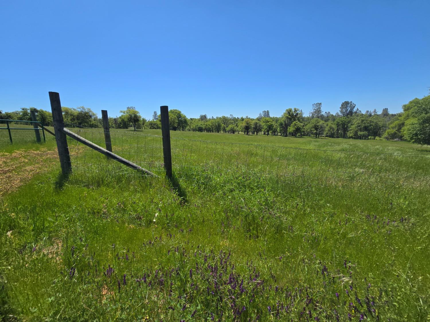 Detail Gallery Image 50 of 78 For 5963 Schilling Rd, Coulterville,  CA 95311 - 3 Beds | 2/1 Baths