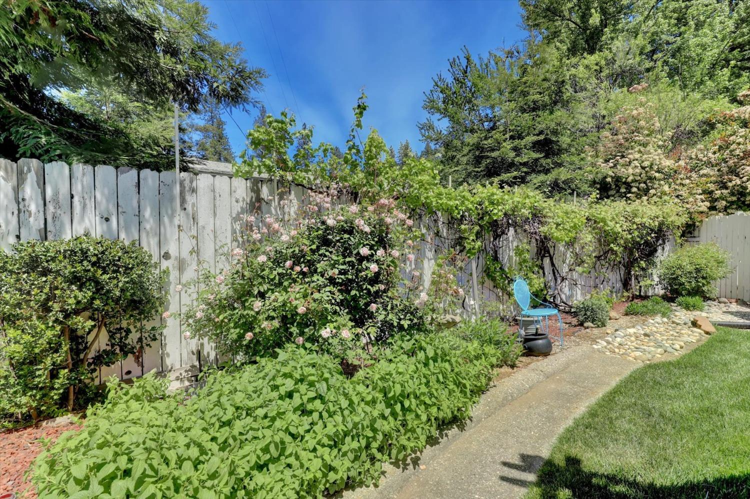 June Drive, Grass Valley, California image 49