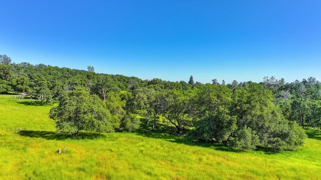 Detail Gallery Image 23 of 63 For 0 Atwood, Auburn,  CA 95603 - – Beds | – Baths