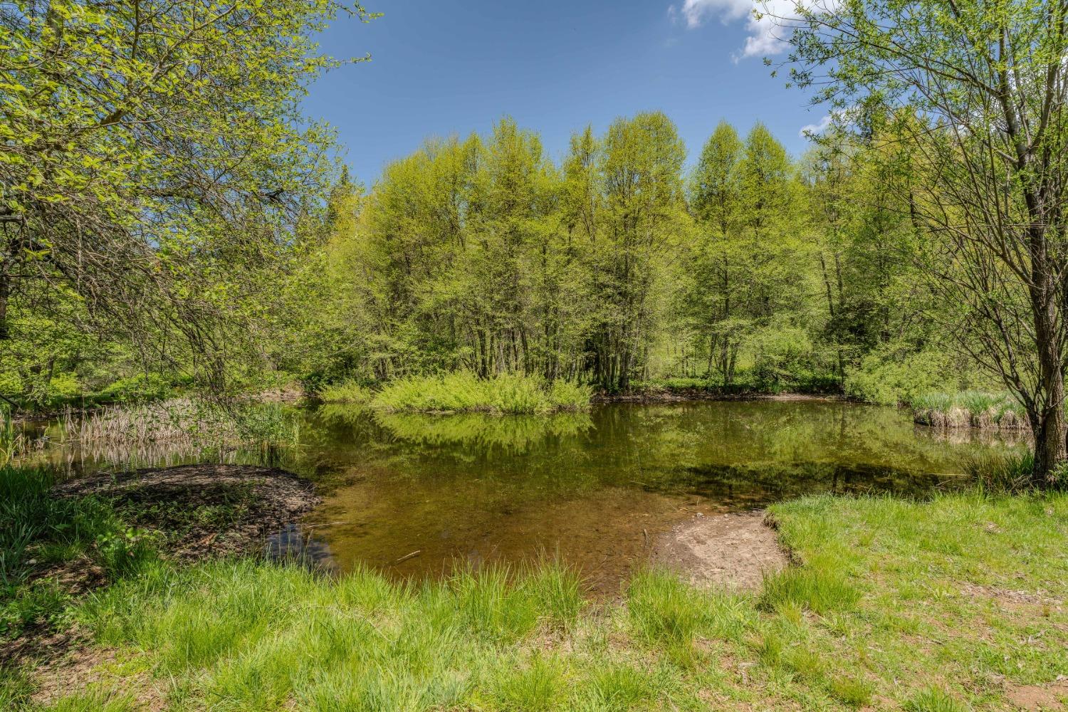 Detail Gallery Image 11 of 57 For 7250 Mitchell Mill Rd, Wilseyville,  CA 95257 - 3 Beds | 1 Baths