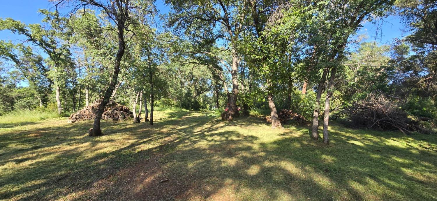 Detail Gallery Image 25 of 41 For 0 2059  Bell Rd, Auburn,  CA 95602 - – Beds | – Baths