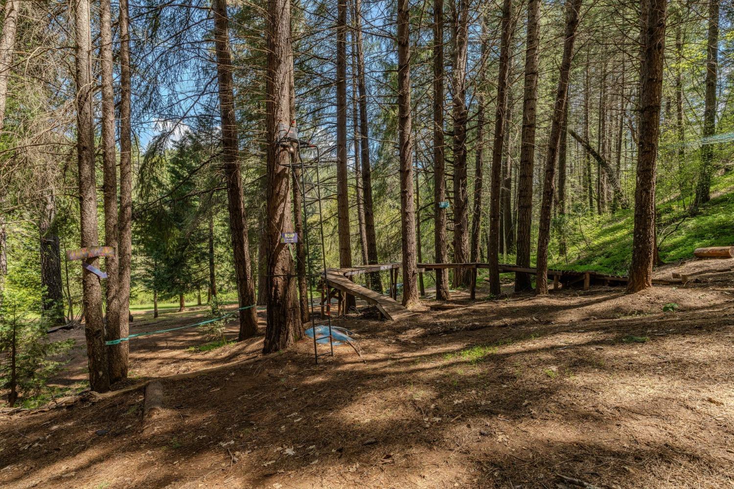 Detail Gallery Image 48 of 57 For 7250 Mitchell Mill Rd, Wilseyville,  CA 95257 - 3 Beds | 1 Baths