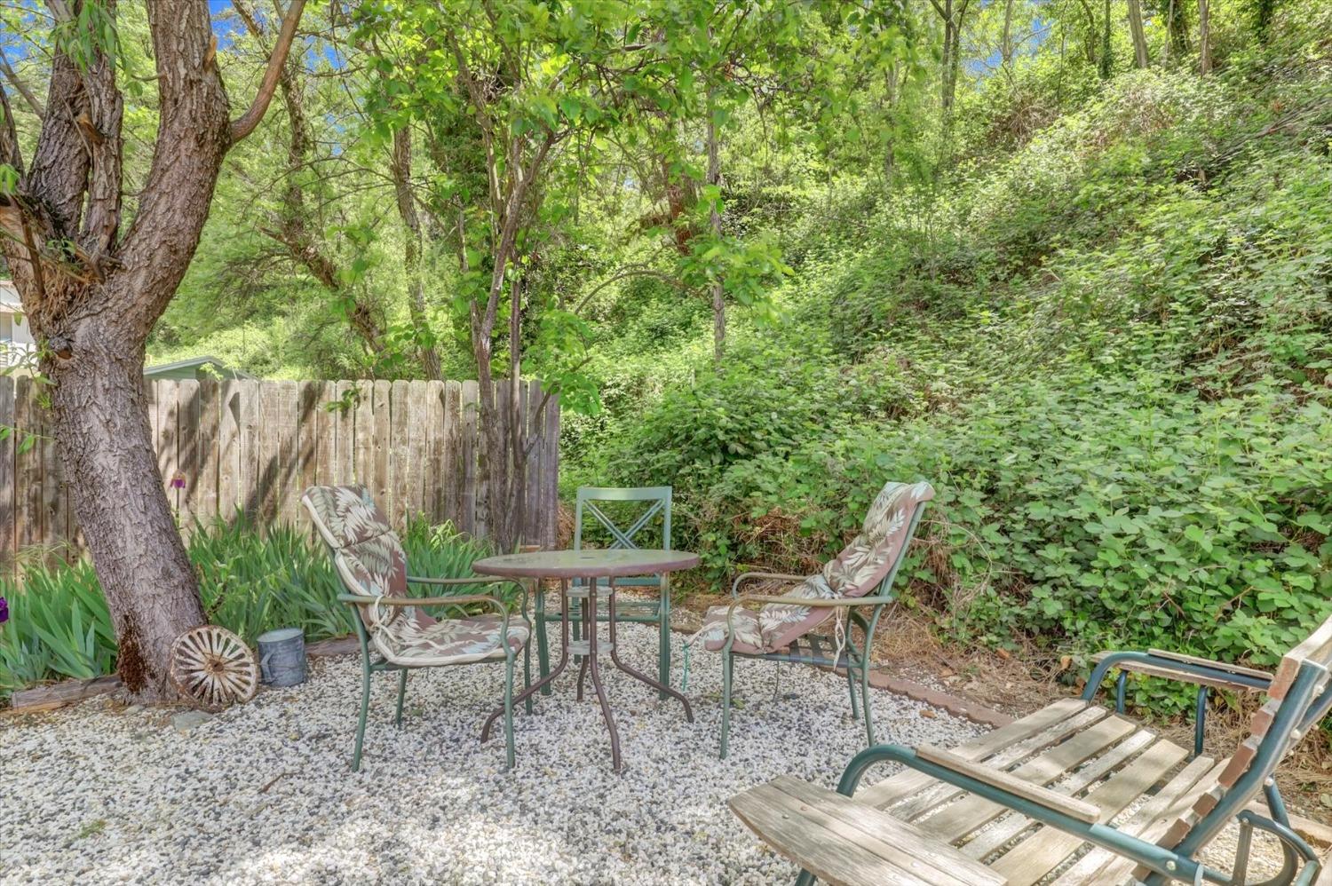 June Drive, Grass Valley, California image 36