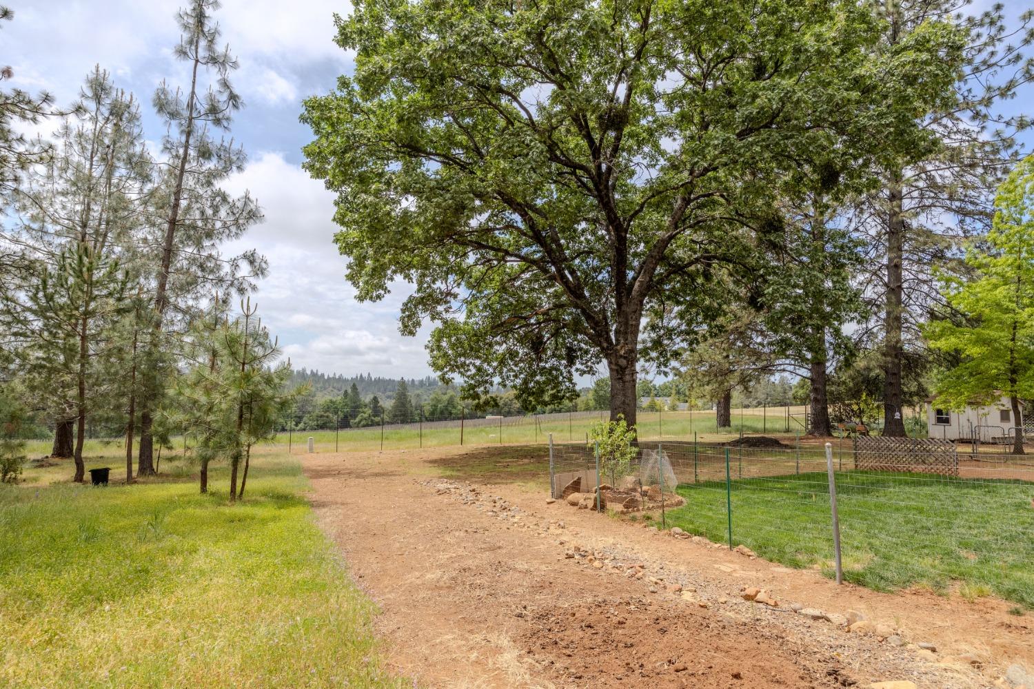Detail Gallery Image 31 of 39 For 19560 Mella Drive, Volcano,  CA 95689 - 2 Beds | 2/1 Baths