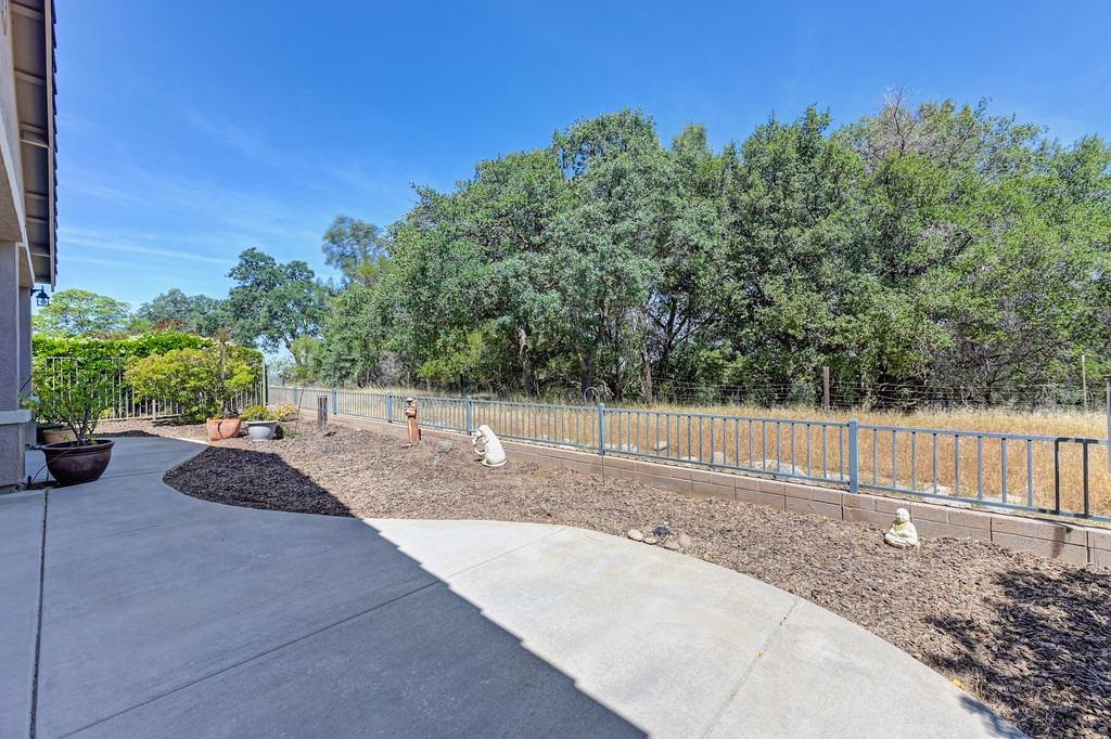 Hidden Hills Lane, Lincoln, California image 31