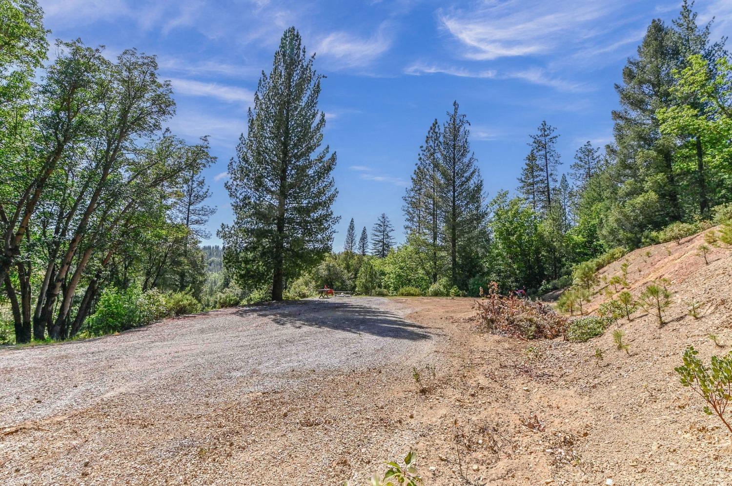 Detail Gallery Image 6 of 29 For 15435 Old Giannini Ranch Rd, Volcano,  CA 95685 - 1 Beds | 1 Baths