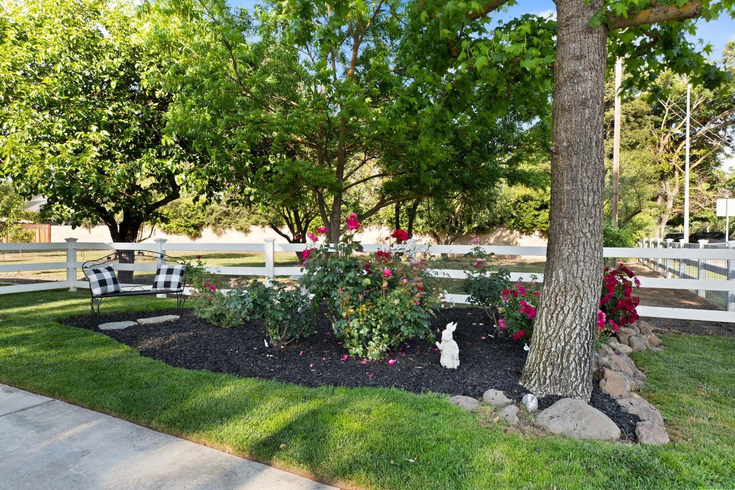 Detail Gallery Image 71 of 90 For 2420 Vine Ave, Escalon,  CA 95320 - 3 Beds | 2 Baths
