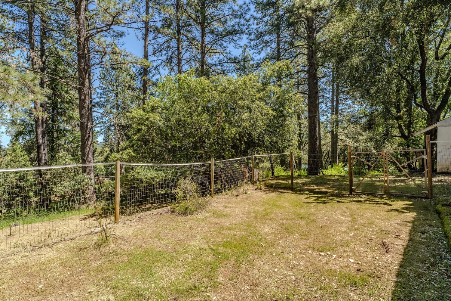 Detail Gallery Image 35 of 42 For 14178 Marc Dr, Pine Grove,  CA 95665 - 3 Beds | 1/1 Baths
