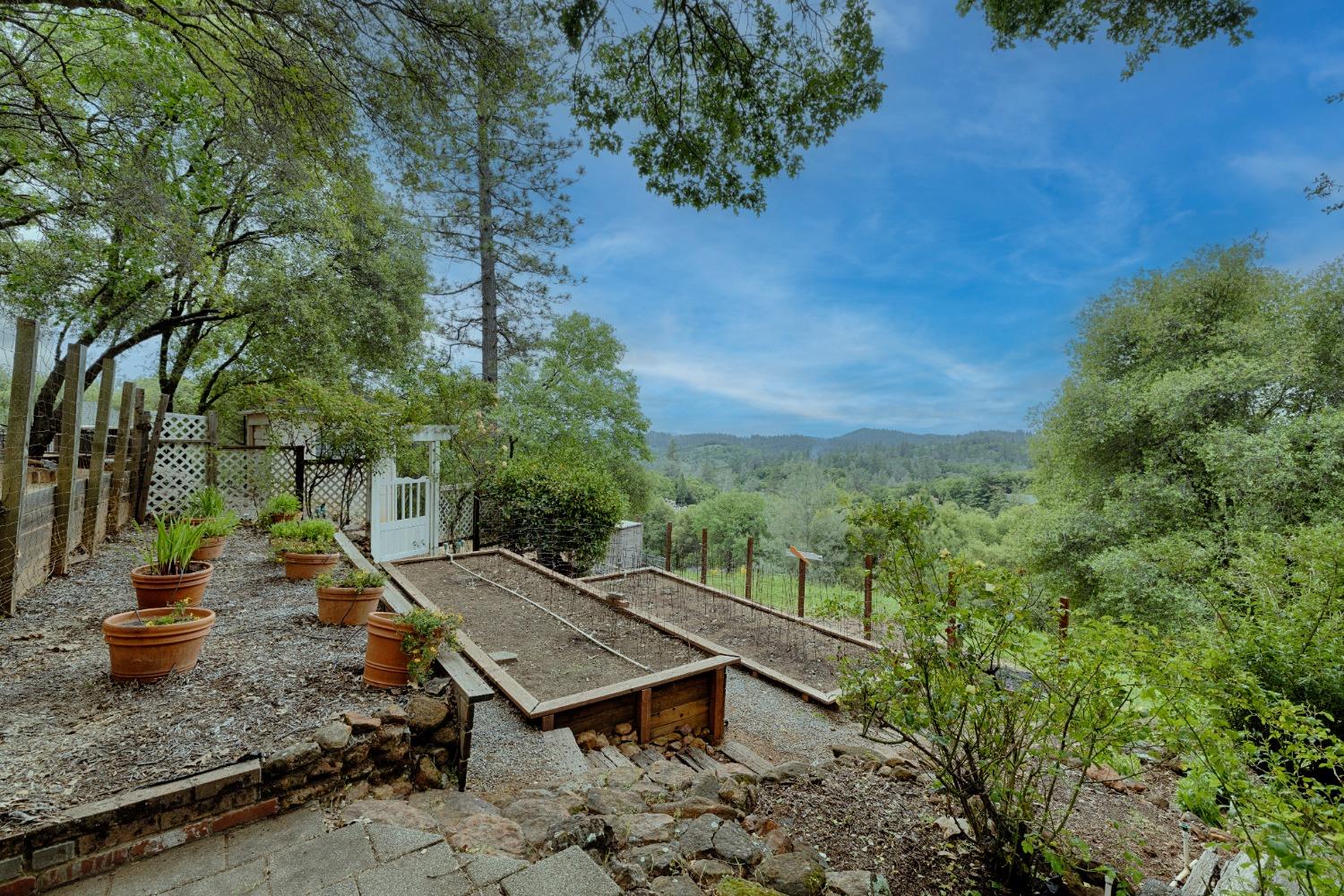 Detail Gallery Image 65 of 69 For 2060 Onion Flat, Cool,  CA 95614 - 4 Beds | 3 Baths