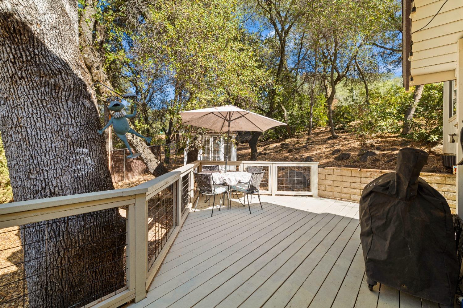 Detail Gallery Image 41 of 45 For 3375 Braniff Ct. Ct, Cameron Park,  CA 95682 - 4 Beds | 2/1 Baths