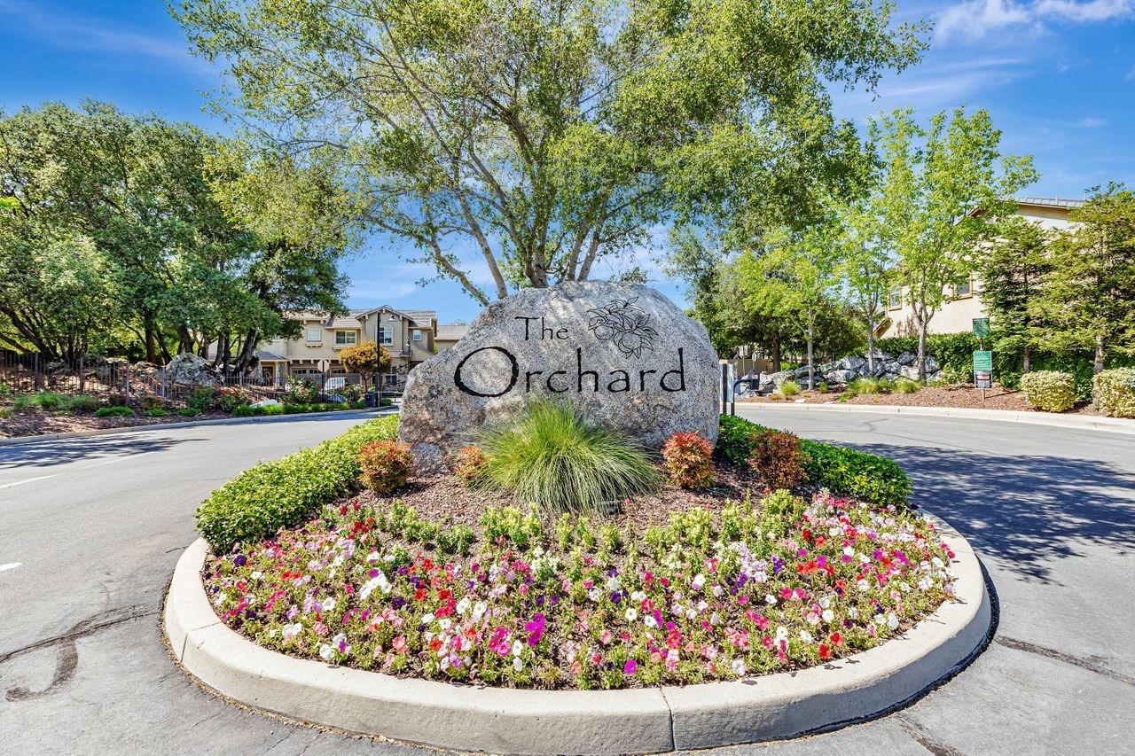 Orchard Circle, Penryn, California image 3